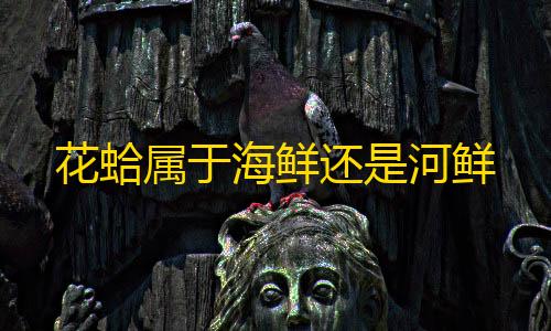 暗区突围低价发卡网花蛤属于海鲜还是河鲜